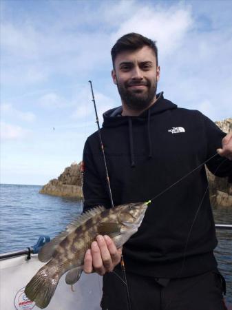 2 lb Ballan Wrasse by Unknown