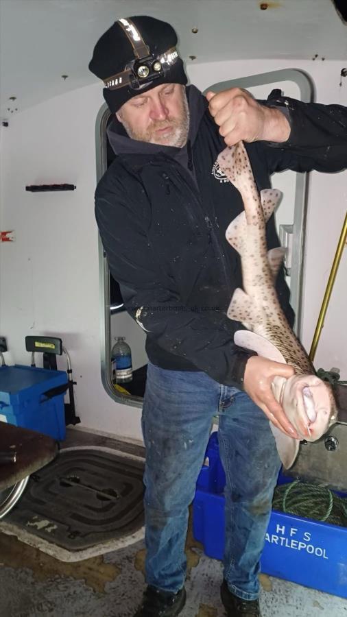 8 lb Bull Huss by Unknown