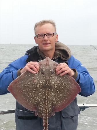 5 lb Thornback Ray by Stephen Clarke