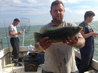 4 lb 2 oz Ballan Wrasse by Paul Hunter