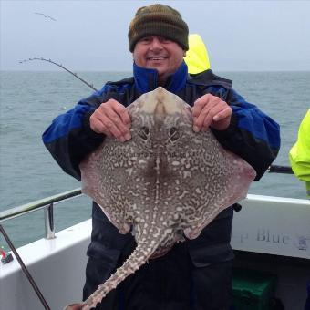 11 lb Thornback Ray by Unknown