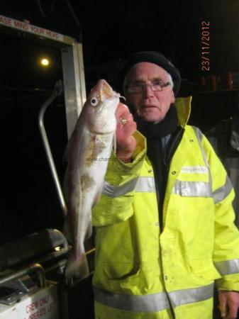 2 lb Cod by Derek