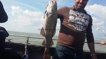 7 lb 5 oz Cod by Joe party