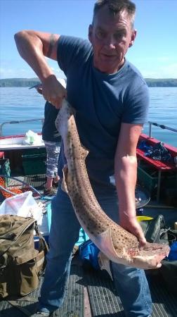 15 lb Bull Huss by cammie