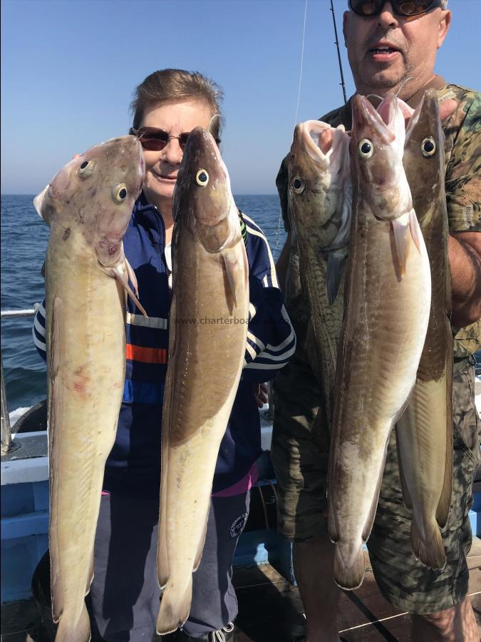 15 lb Ling by Christie and bogdon Ling and cod wreck fishing