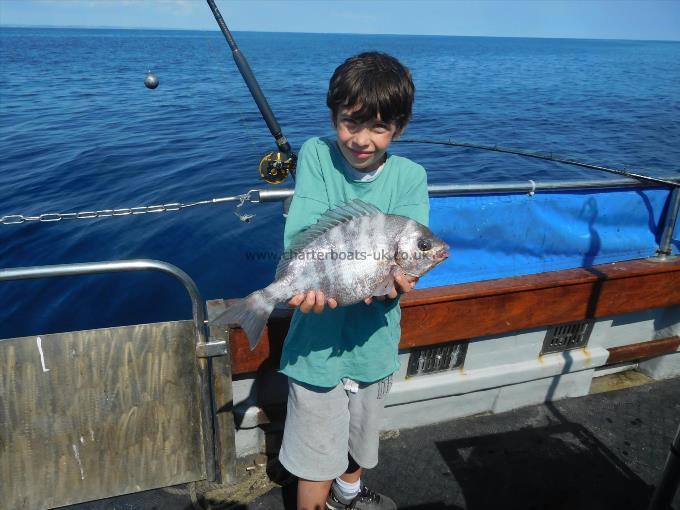 3 lb Black Sea Bream by Unknown