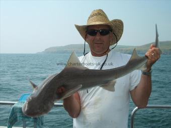 9 lb 4 oz Smooth-hound (Common) by Andy