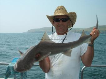 9 lb 4 oz Smooth-hound by Andy