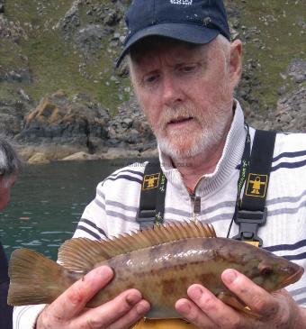 1 lb 4 oz Ballan Wrasse by stewart walker