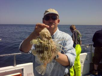 1 lb John Dory by malcolm