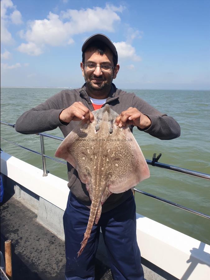 7 lb Thornback Ray by Bob Marshall