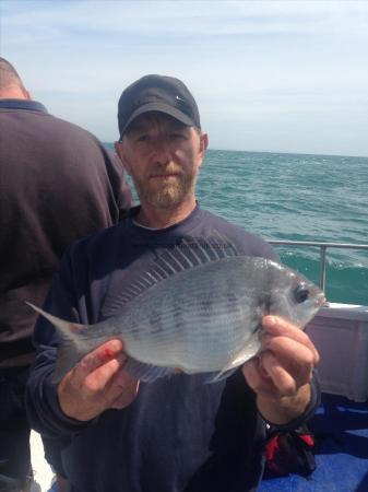 2 lb 4 oz Black Sea Bream by Mark