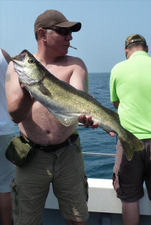 6 lb 4 oz Pollock by Bob Marshall