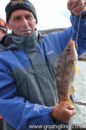 2 lb Ballan Wrasse by Neil