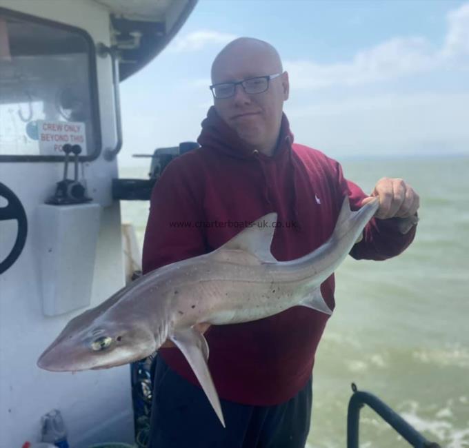 8 lb Smooth-hound (Common) by Unknown