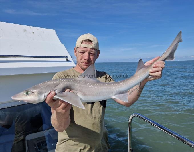 7 lb Smooth-hound (Common) by Unknown
