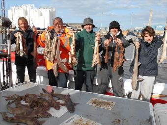 1 lb Lesser Spotted Dogfish by May 16th Party