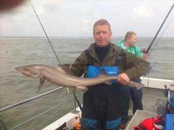13 lb 4 oz Smooth-hound (Common) by bod sea view lads