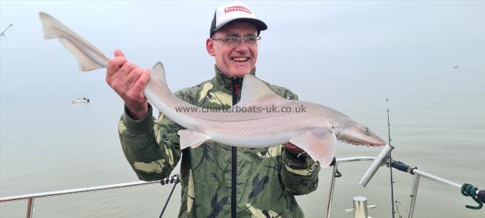 6 lb 2 oz Smooth-hound by Gary