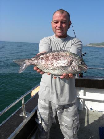 3 lb 6 oz Black Sea Bream by Unknown