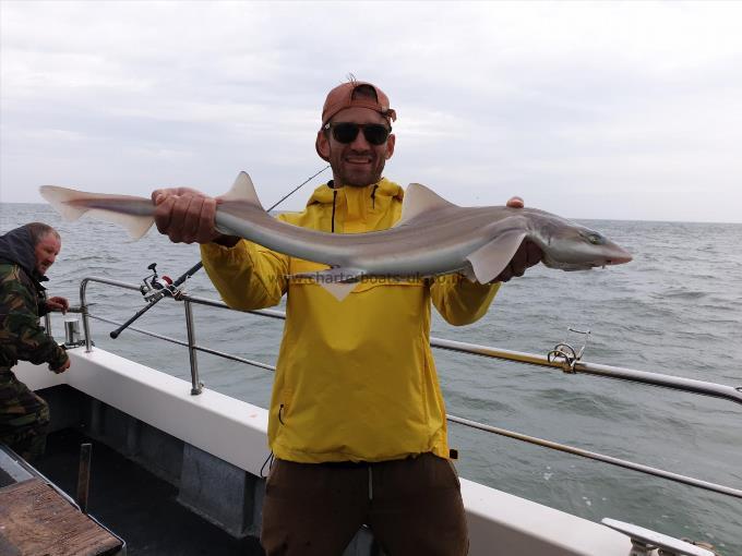 7 lb Smooth-hound (Common) by Bob Marshall