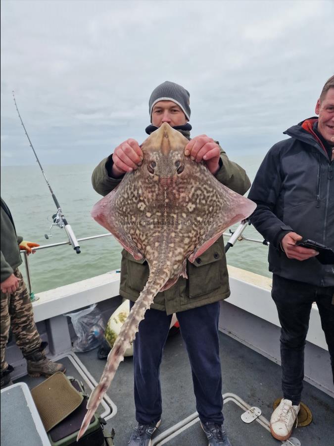 11 lb Thornback Ray by Peter