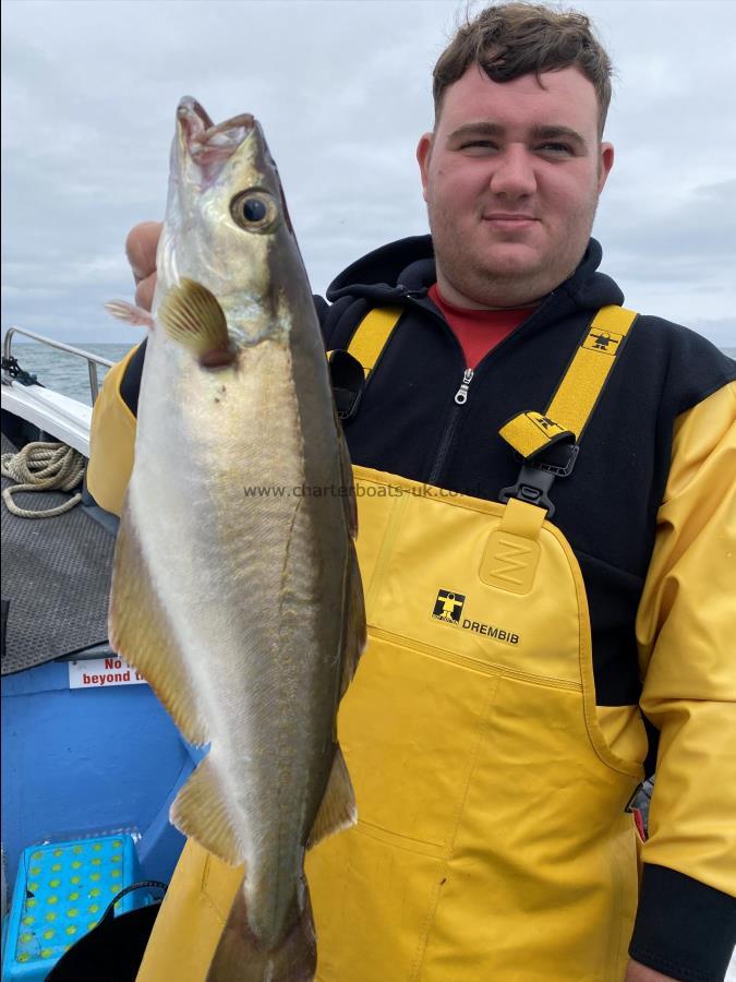 4 lb Pollock by James from Sheffield pollock fishing