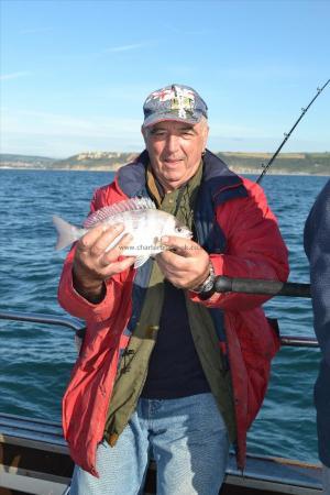 1 lb Black Sea Bream by Adrian Cawte