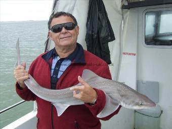 12 lb 9 oz Starry Smooth-hound by andy