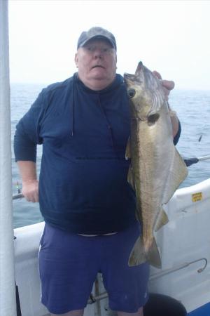 8 lb 4 oz Pollock by John