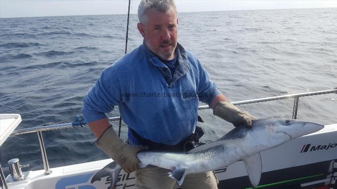 35 lb Blue Shark by Matt