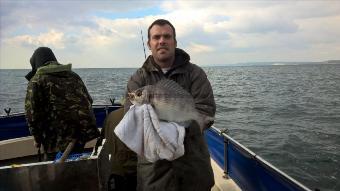 3 lb Black Sea Bream by Stephen Wake