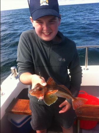 1 lb Red Gurnard by Nick McGrane