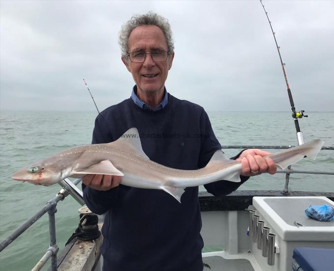 6 lb Smooth-hound (Common) by Unknown