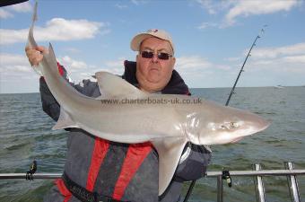 20 lb Smooth-hound (Common) by Gary Hooper