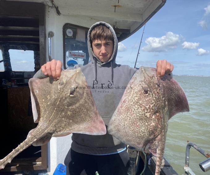 10 lb Thornback Ray by Unknown