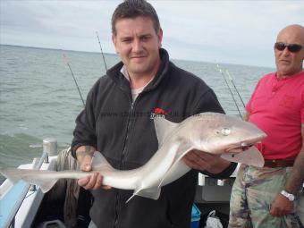 12 lb 6 oz Starry Smooth-hound by Michael