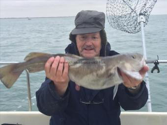 5 lb Cod by David