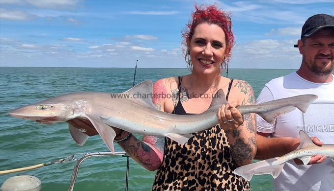 8 lb 9 oz Starry Smooth-hound by Claire