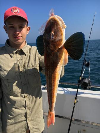 5 lb 12 oz Tub Gurnard by Unknown