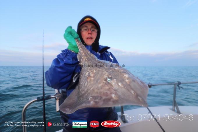 5 lb Thornback Ray by Billy