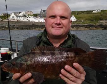 4 lb Ballan Wrasse by ian mccaig