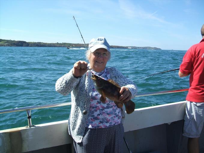 1 lb 8 oz Ballan Wrasse by Chris's Mum