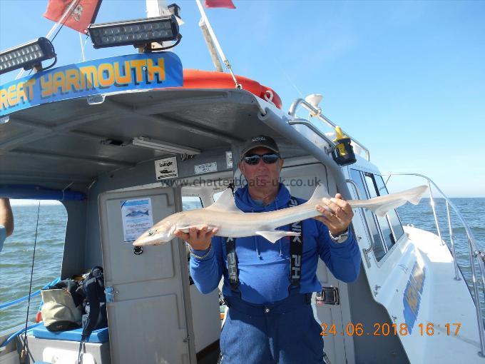 6 lb Starry Smooth-hound by Mike Gittens