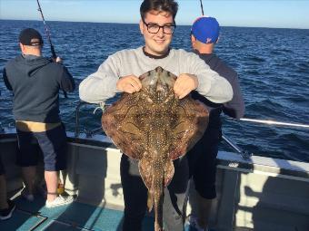 10 lb Undulate Ray by Unknown