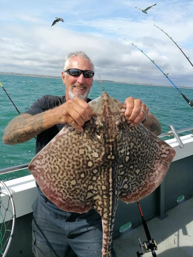 7 lb 8 oz Thornback Ray by Mark