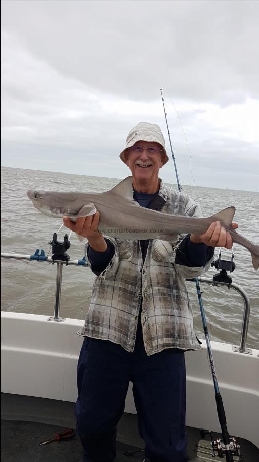 10 lb Starry Smooth-hound by Derek ball