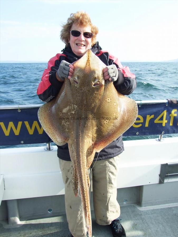 20 lb Blonde Ray by Denise Yongs