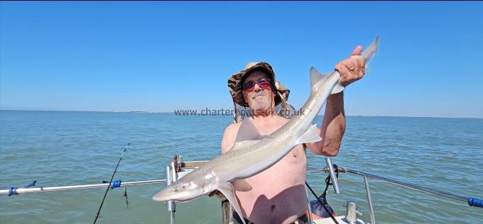 9 lb Starry Smooth-hound by Chris