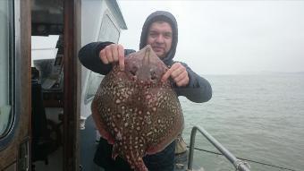 8 lb Thornback Ray by Lee from Kent